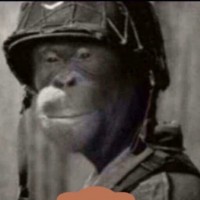 PAR Legion