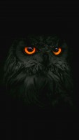 PAR Legion