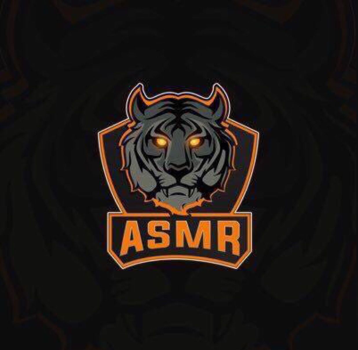 ASMr esport1