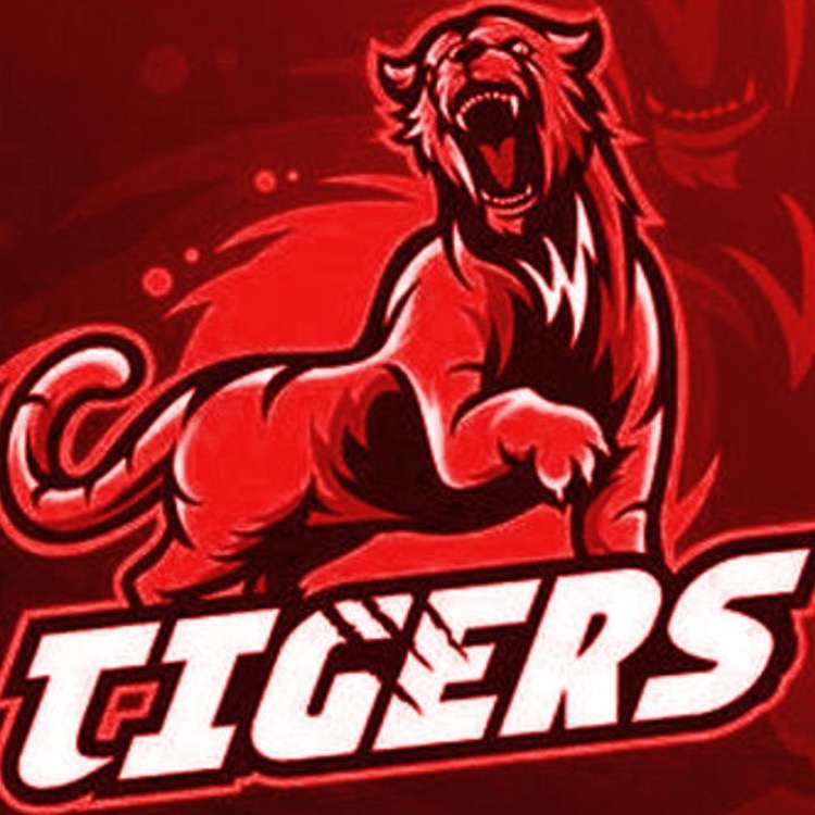 The Tiger Esport9