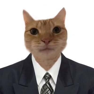 Kitty