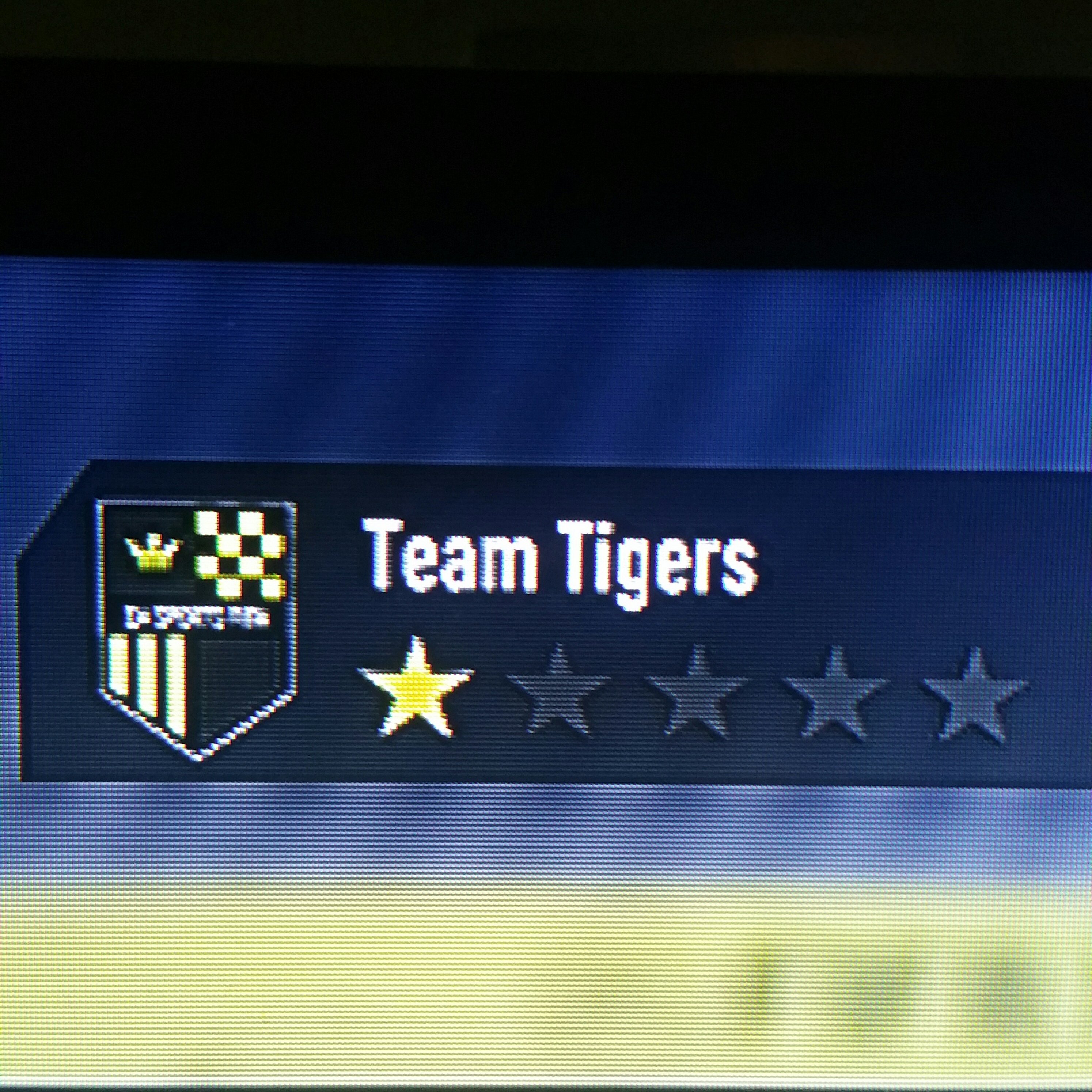 Team Tigers