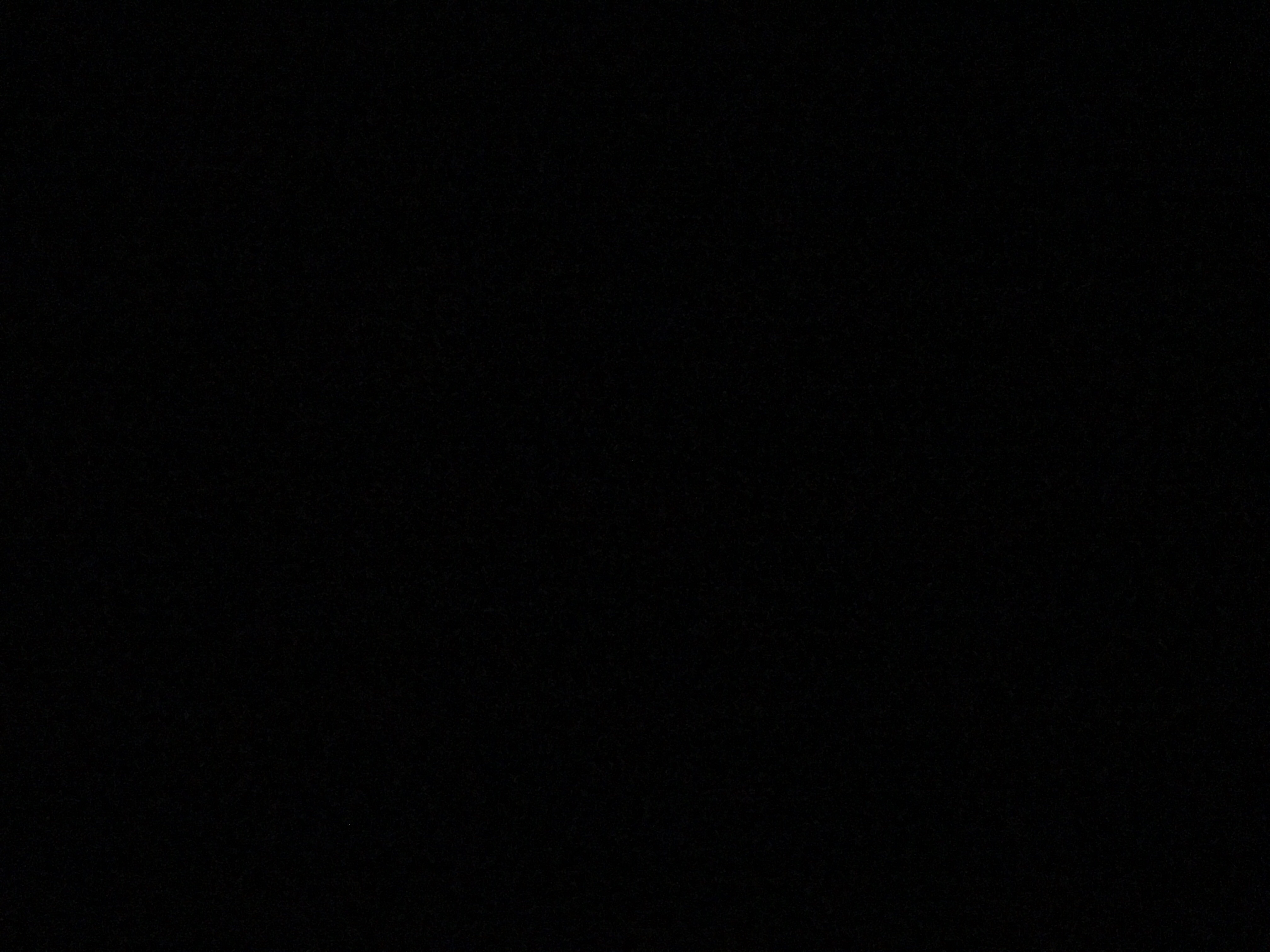 RG26