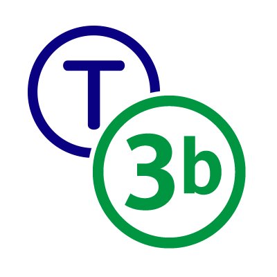 T3B1