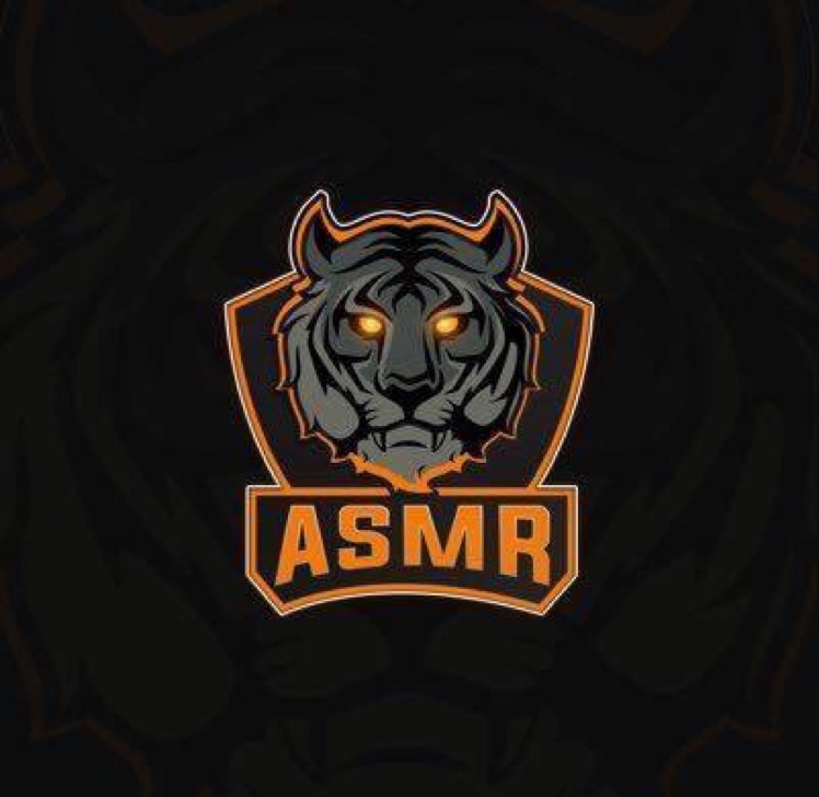 ASMResports12