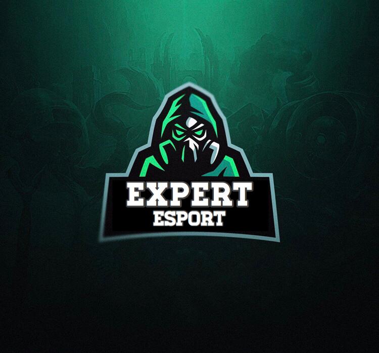 Expertesport