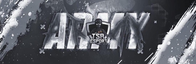 army esport111
