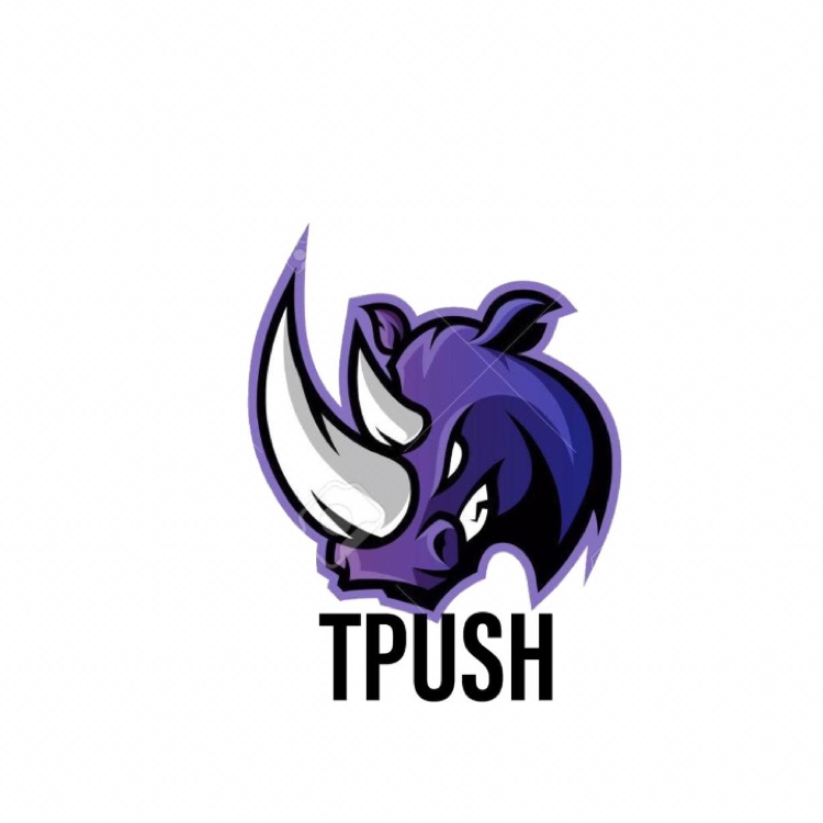 TP ESPORTS