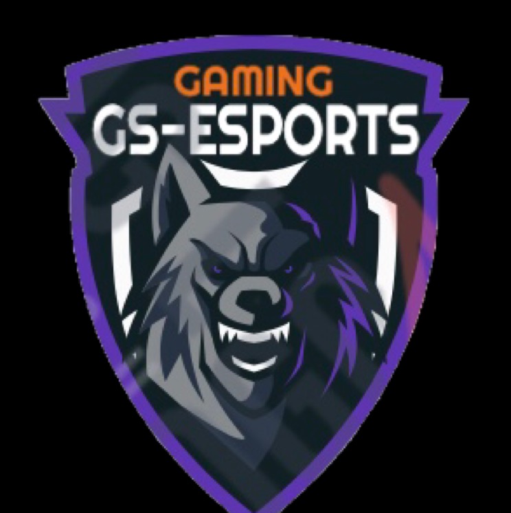 GS-ESPORTS 