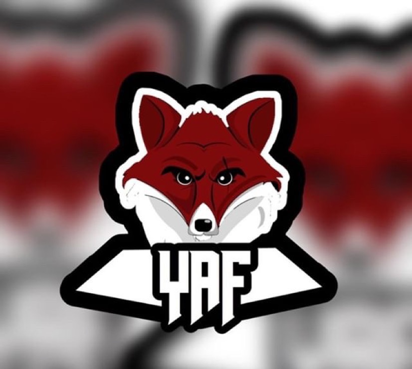YAF3