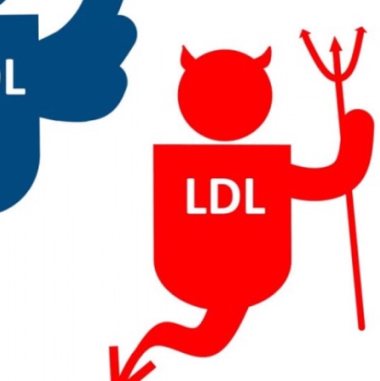 LLDUBELL