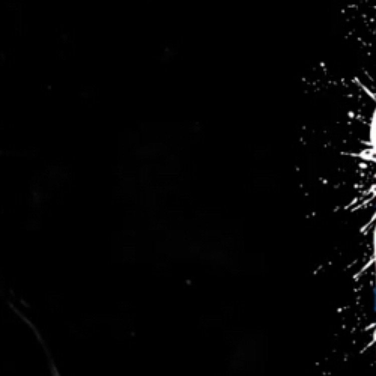 Invitation Banner