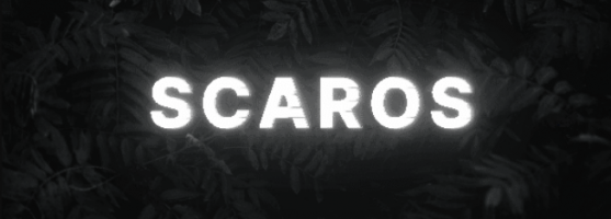 Invitation Banner