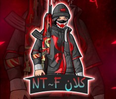 NTF ON TOP