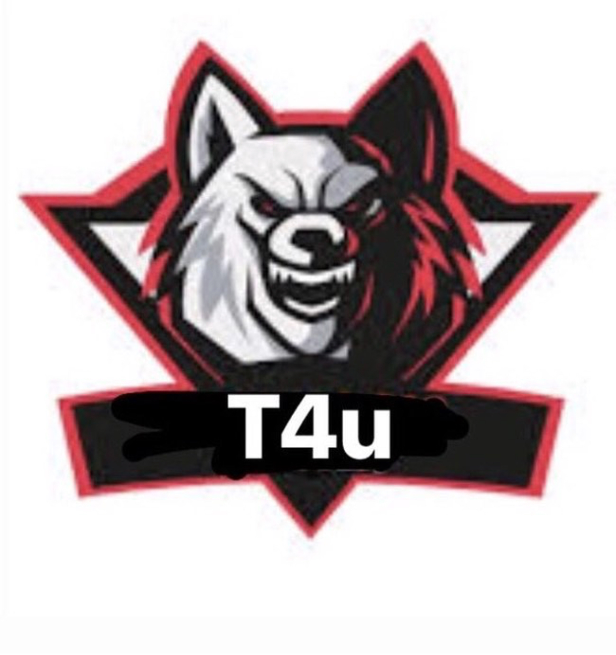 T4uSquad
