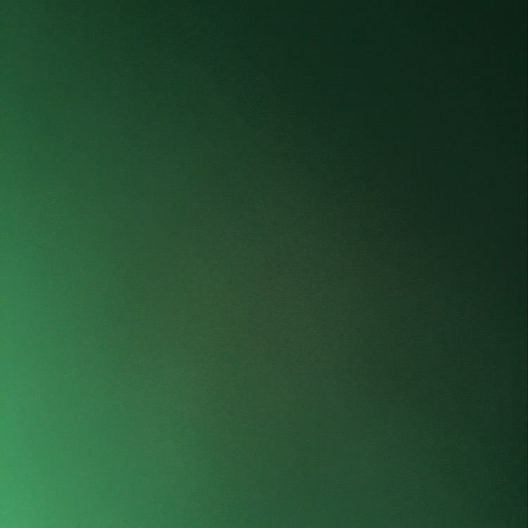   ZoRo esports 