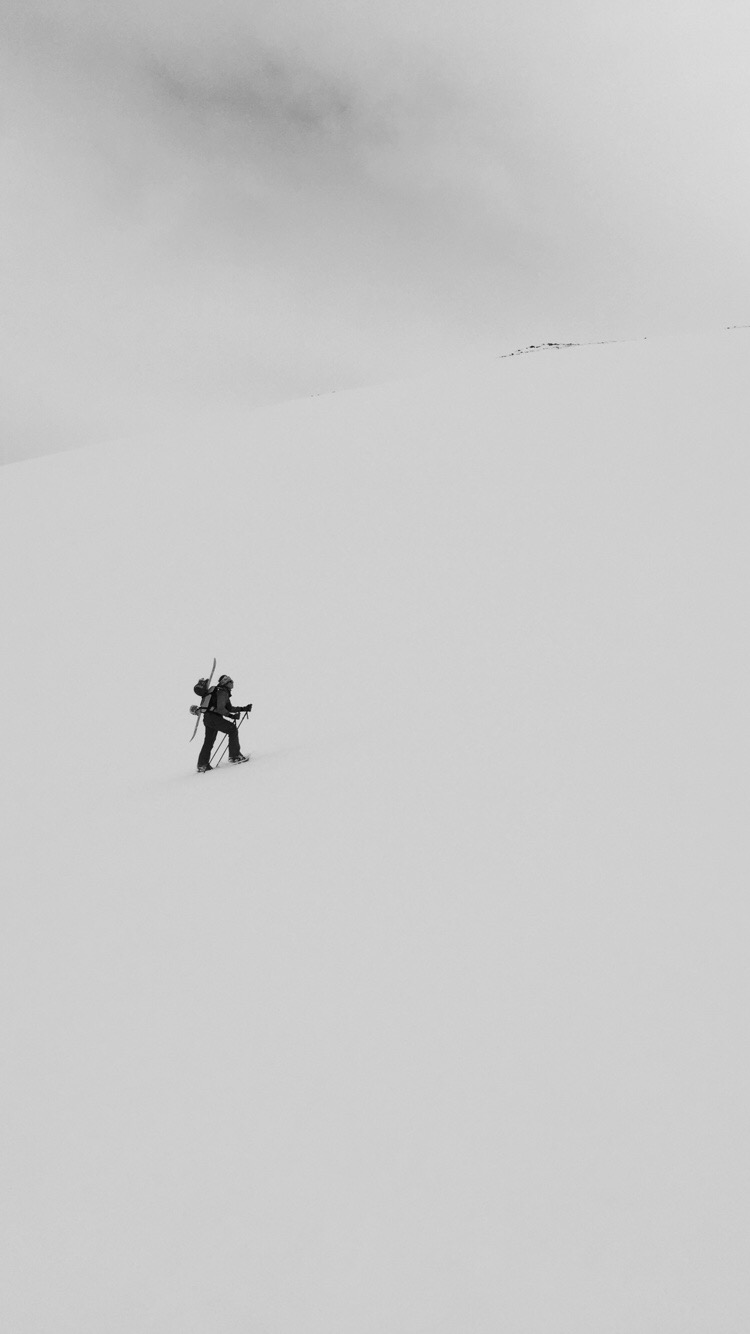 lonewolf