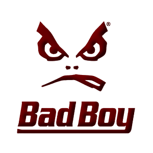 the bad boys