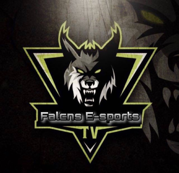 Natus Vincere