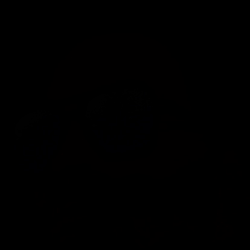 clan_ozx