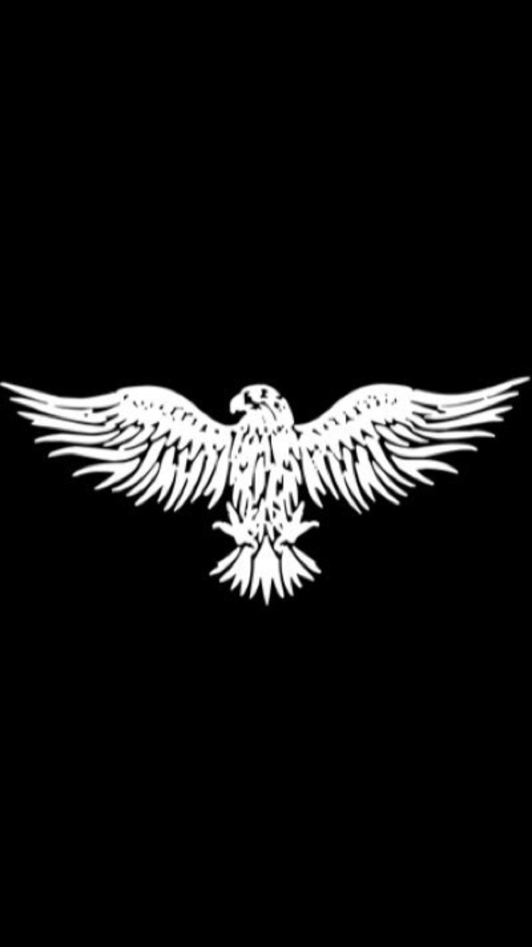 qzaidDN77
