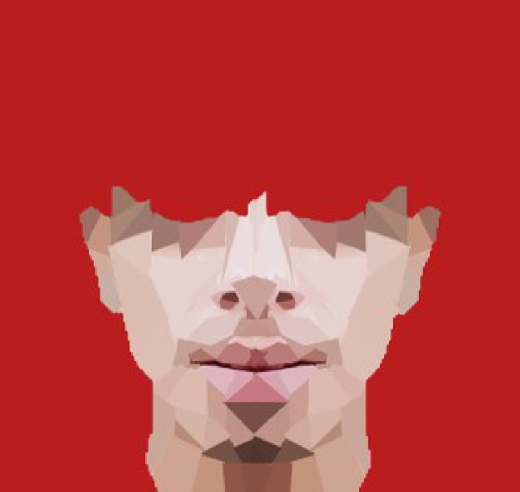 NJMGY