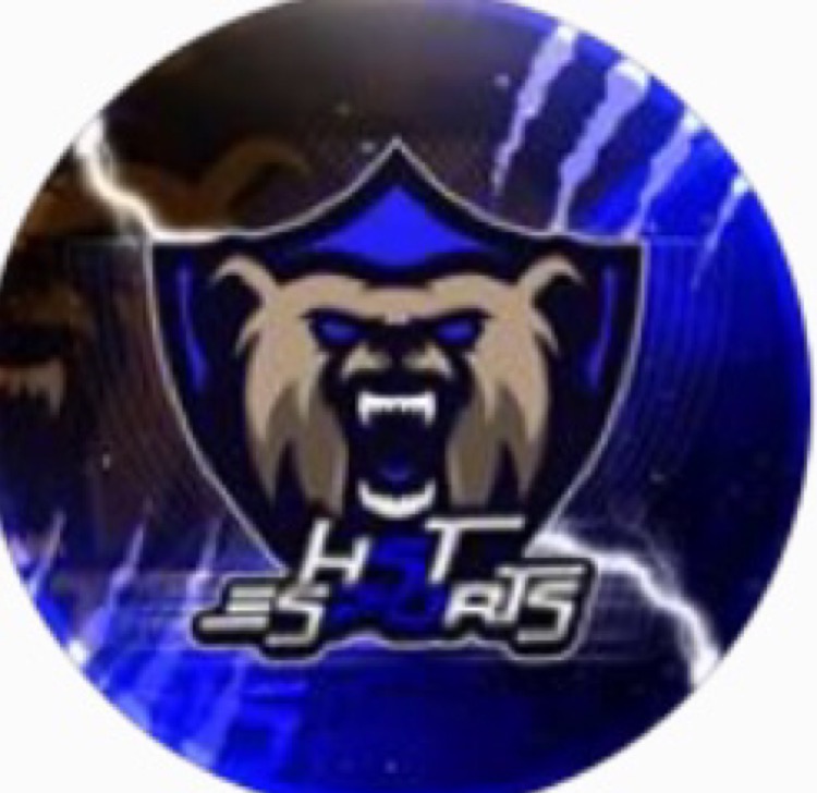 Dhstesports