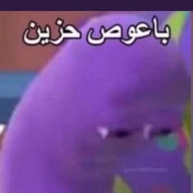 iShawarma