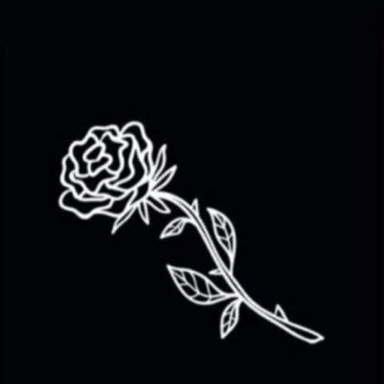 100 Roses