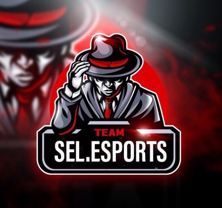 sel.esports