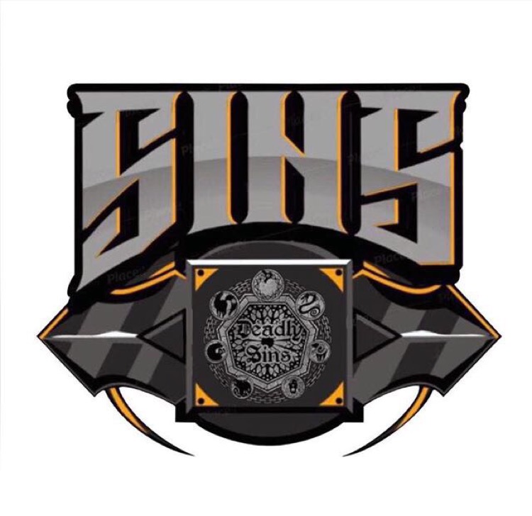 SINS 17