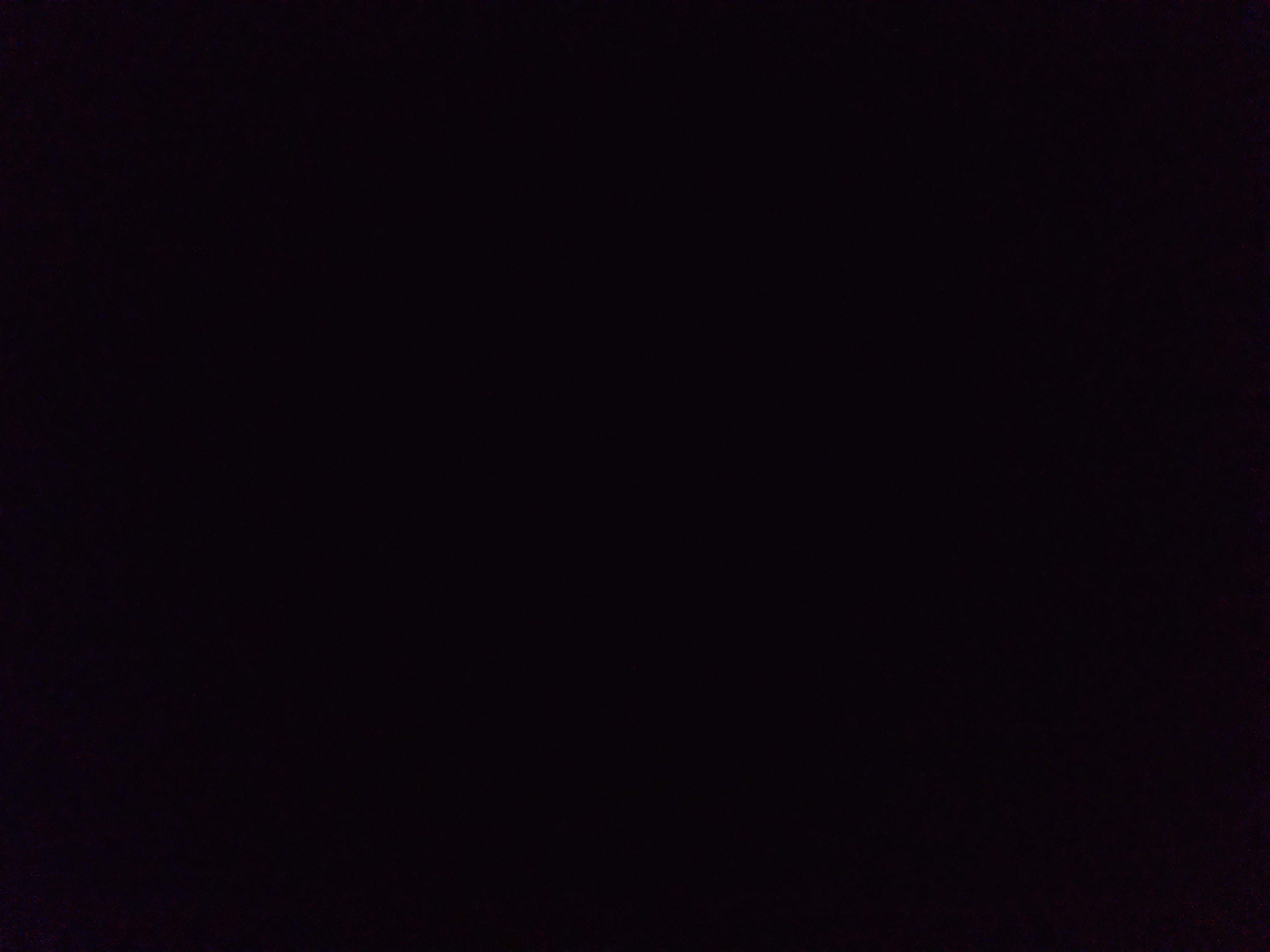 Nyreini