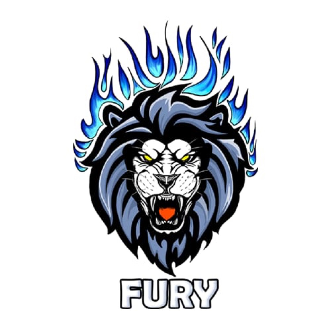 Fury Sa