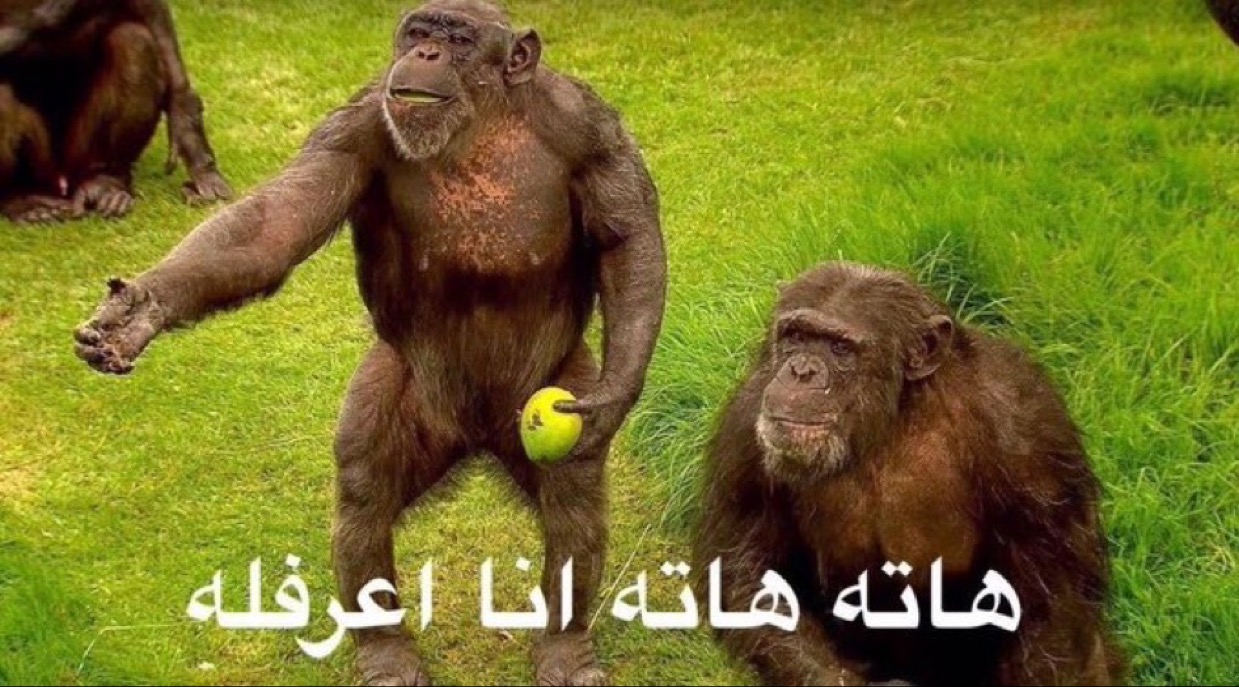 بنطير