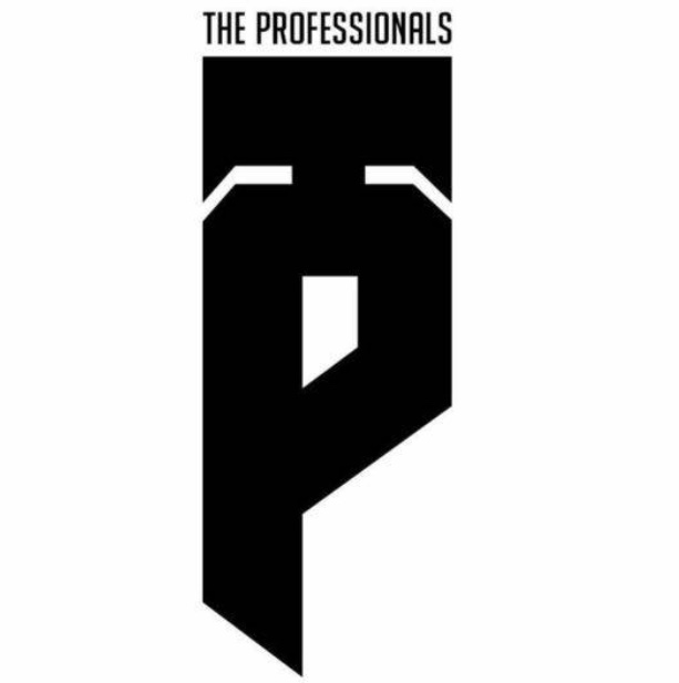 The professionals 2