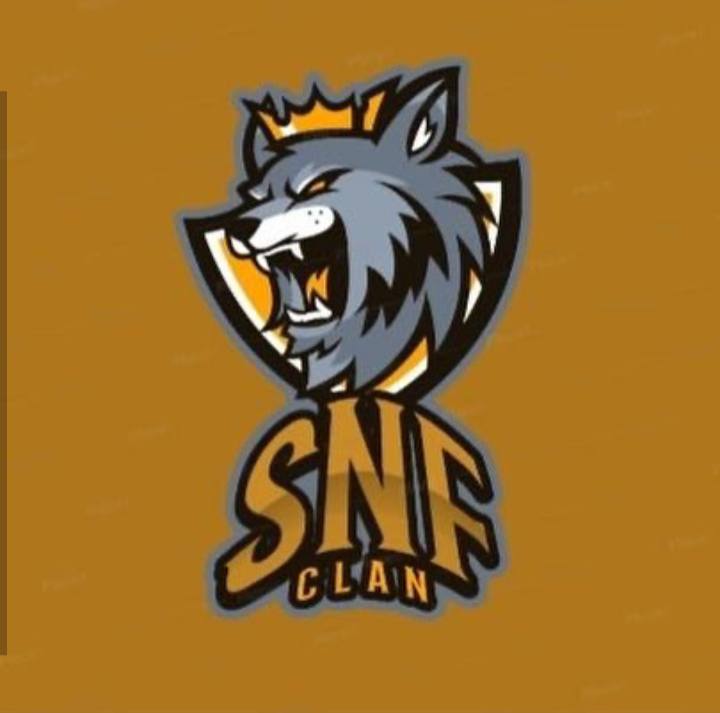 CLAN_SNF