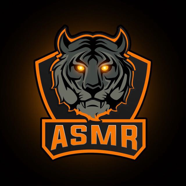 1ASMReSports1