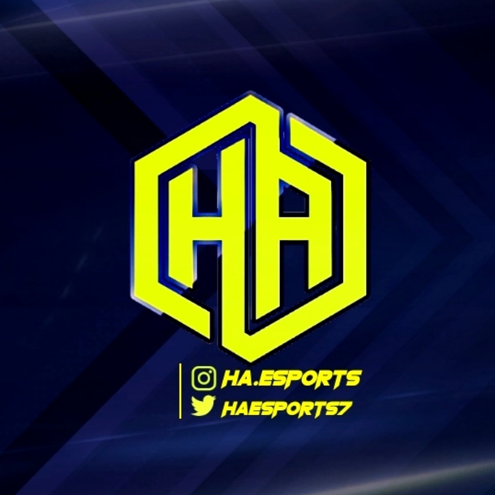 HA.ESPORTS