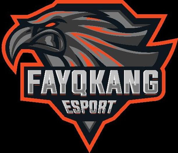  FAYQKANG-5
