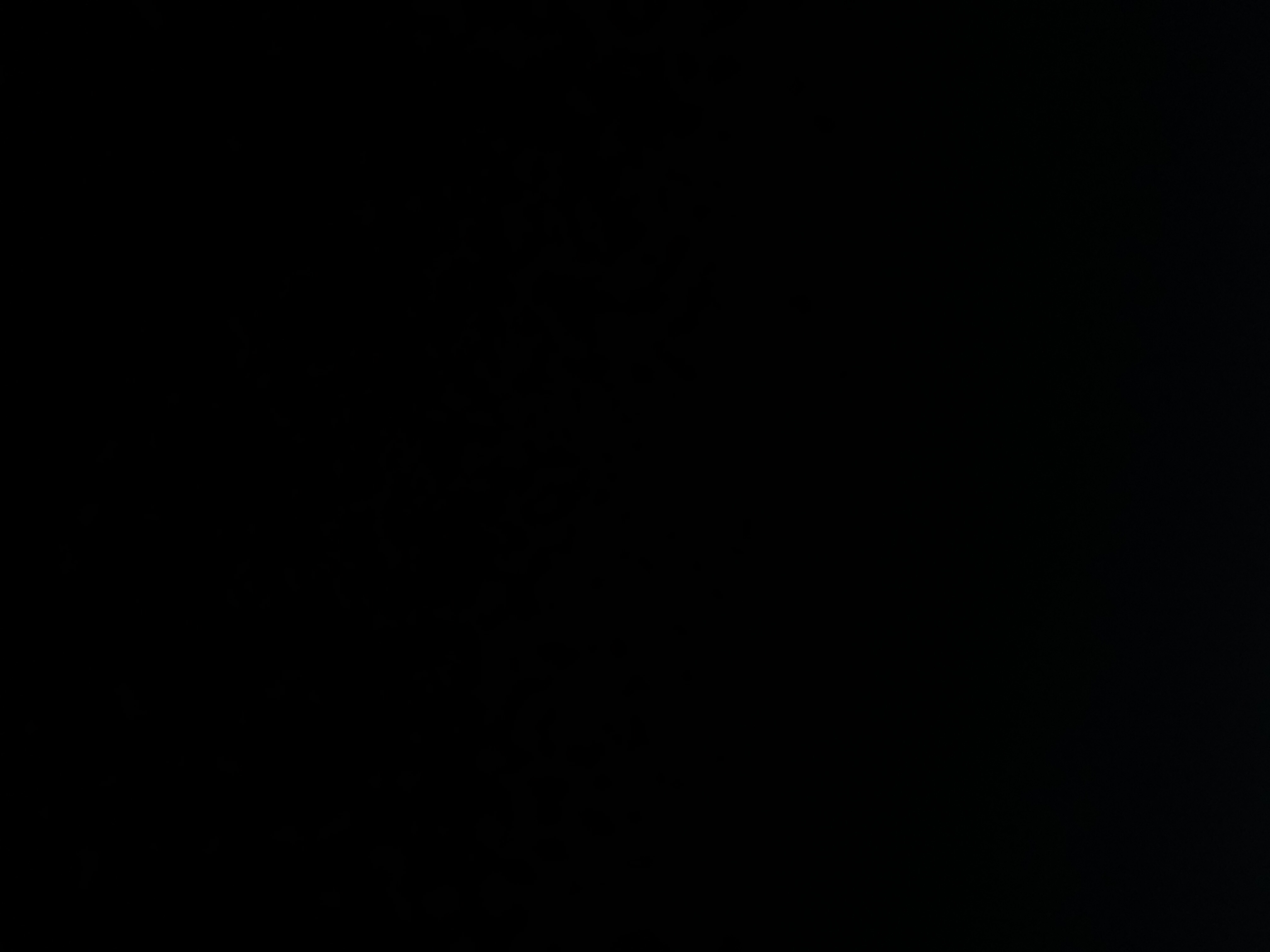 Invitation Banner