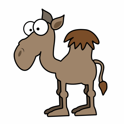 Arab camel