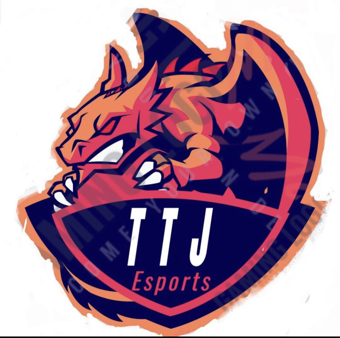 TTJEsports