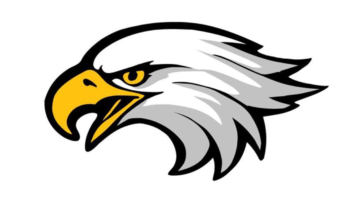 falcon