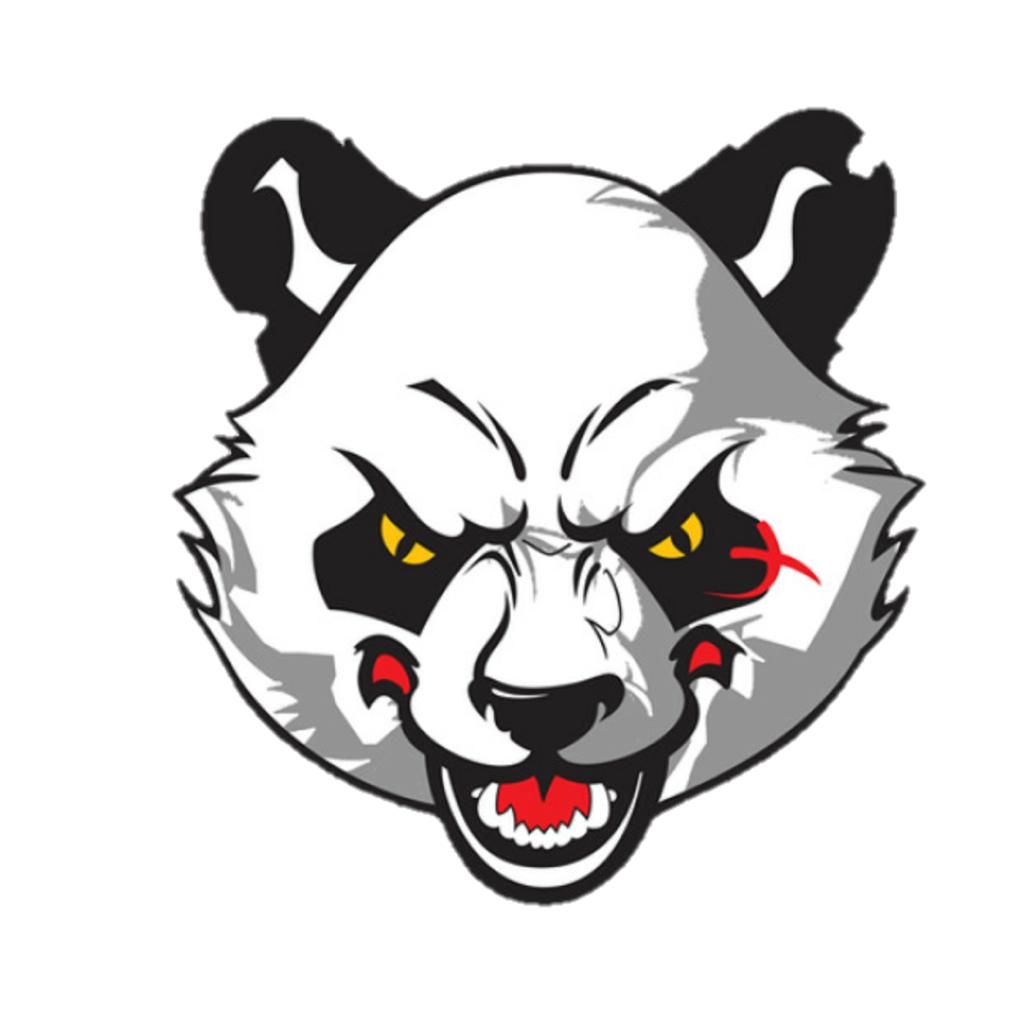 PANDA ESPORTS