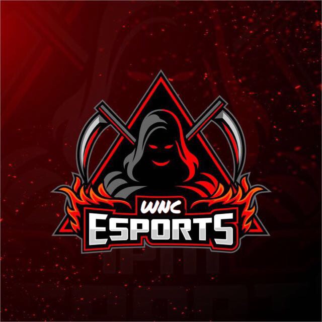 Natus Vincere