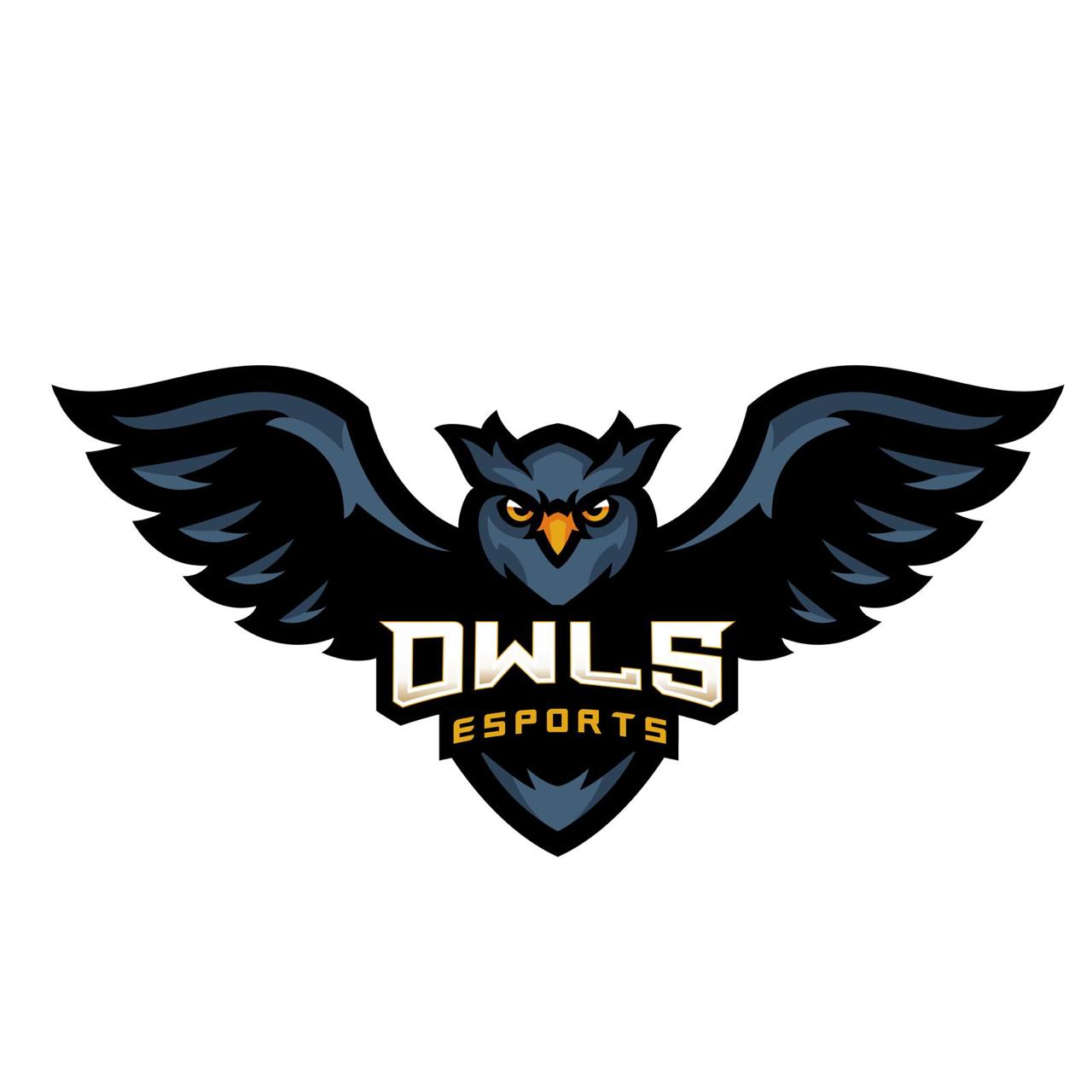 OWL eSportts