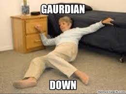 Guardian Down
