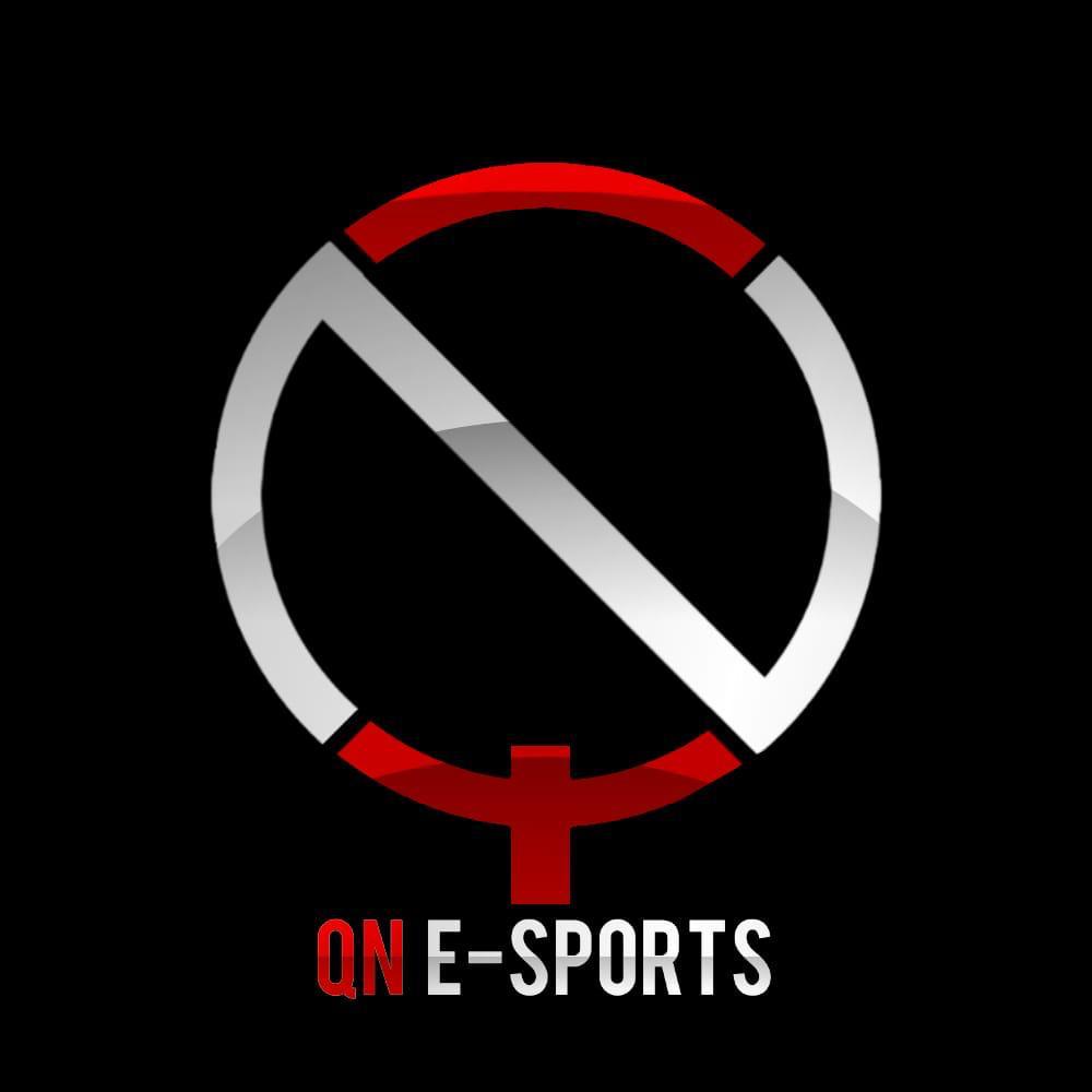 Qn.Esports1