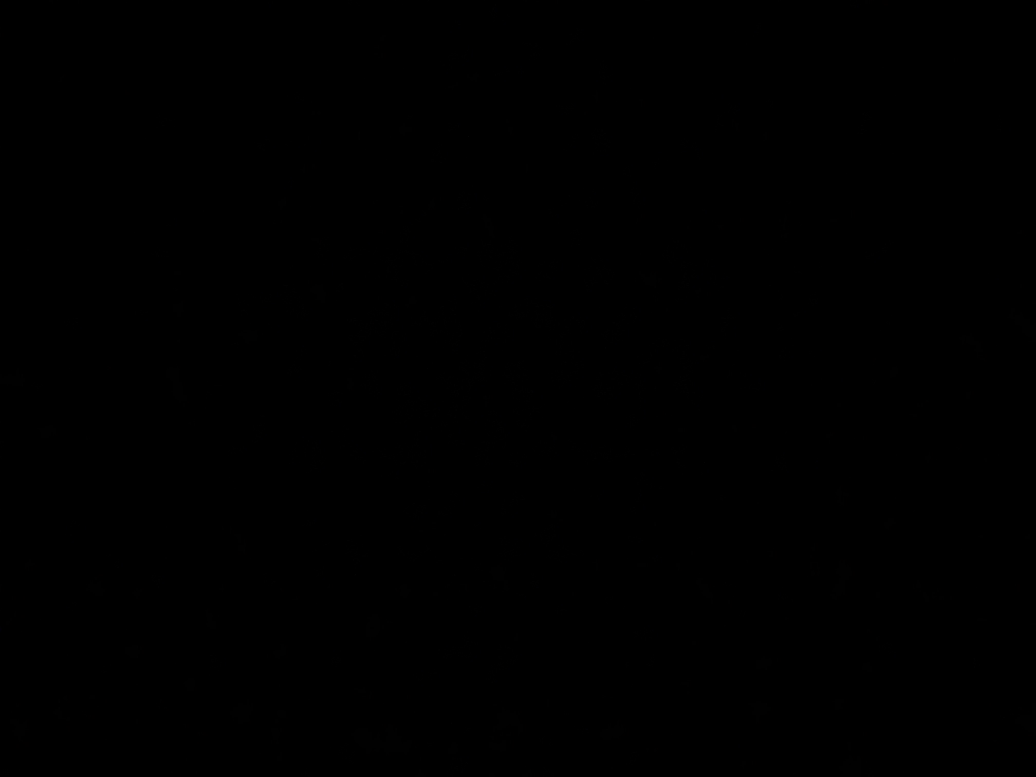 7VL7