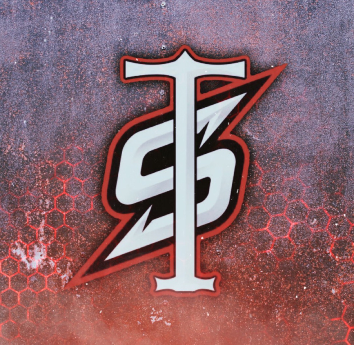 STRONG ESPORTS 4